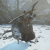 "General of the North - Ai Nengqi" icon